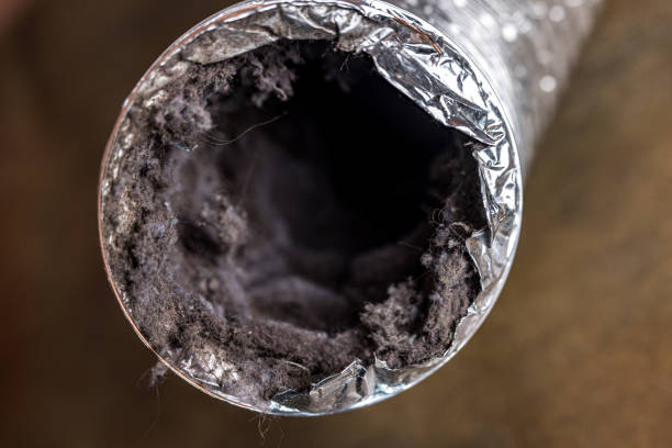 Best Air Duct Mold Removal  in Smithfield, VA